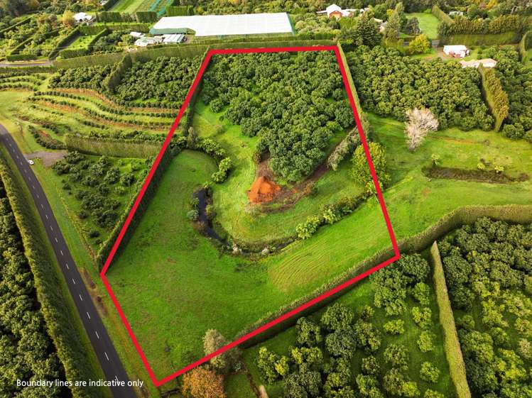 222 Wharawhara Road_0