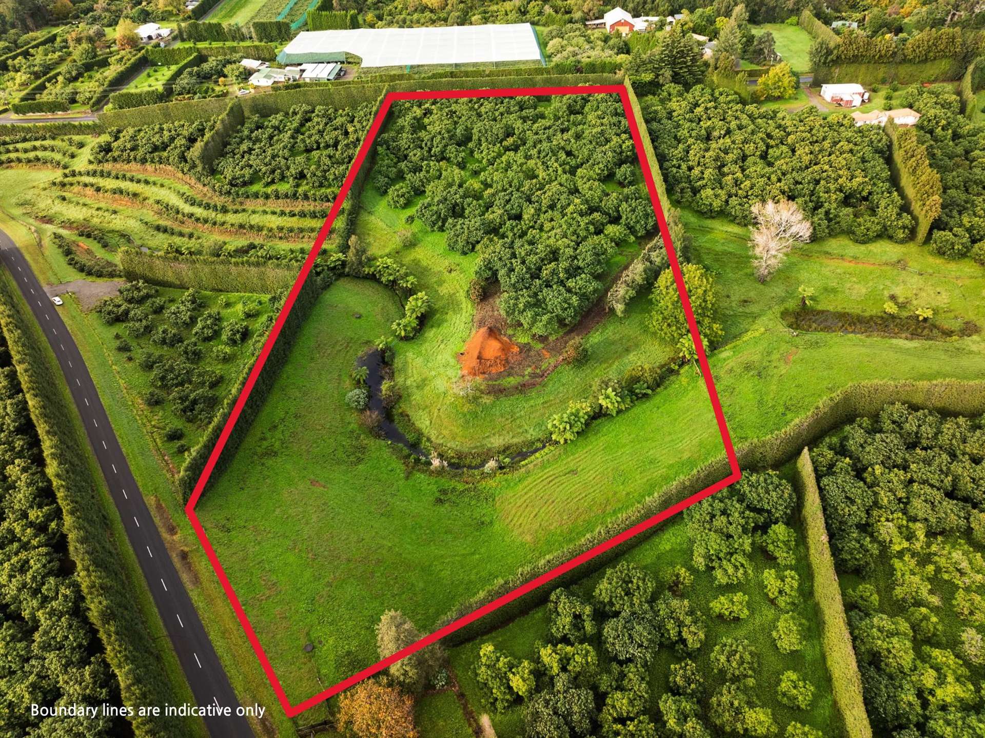 222 Wharawhara Road Katikati_0