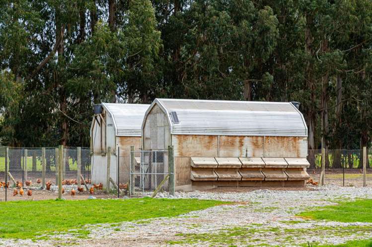 640 Taylor Road Geraldine_14