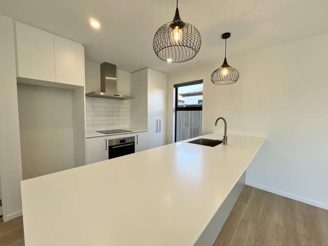 3 Croucher Street Kaiapoi_1