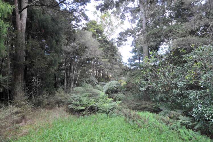 641 Valley Road Kaiwaka_12