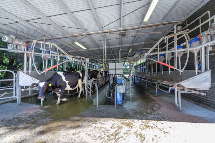 52 Mount Grey Road Loburn_25