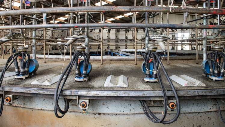 60 Moncurs Road West Otago Surrounds_2