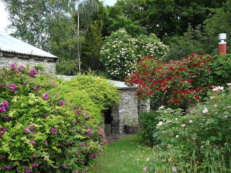 28 Swindon Street Ophir_18