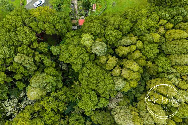 14 Woodland Road Maungaturoto_44