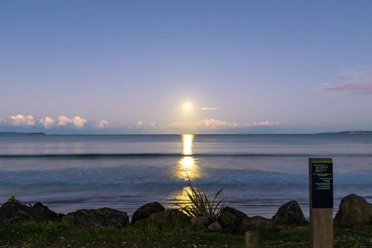 6a Noel Avenue Orewa_22