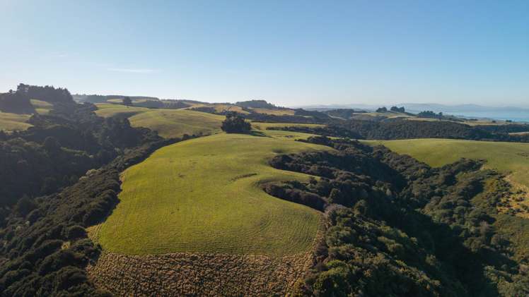 125 Sawmill Road Taieri Beach_35
