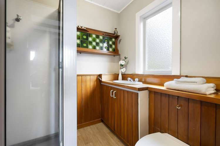 5 Budock Road Hillsborough_13