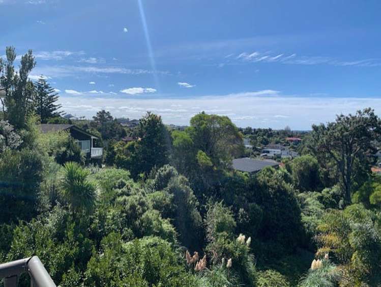 A202/525 East Coast Road Browns Bay_14