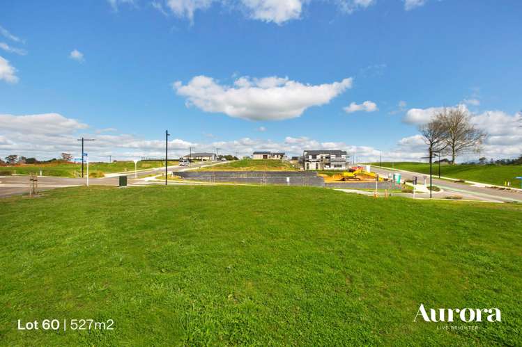 5 Anurangi Rise Peacocke_8