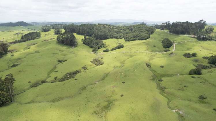 136 Simpkin Road Ruawai_16