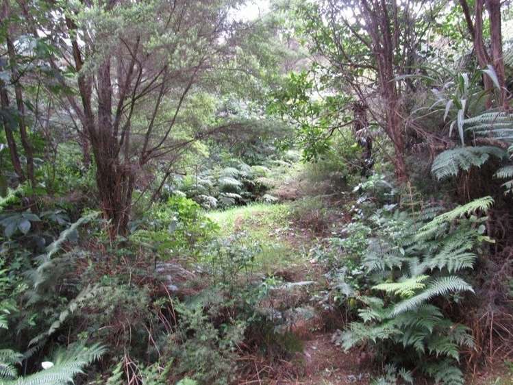 24 Goldfields Road Karangahake_8