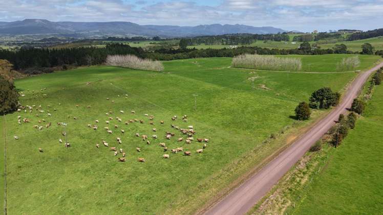 374 Rakauwahia Road Taheke_10