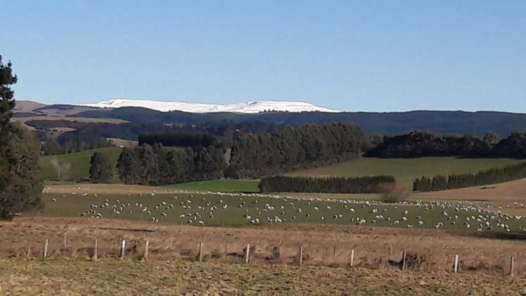 294 Burgess Road Herbert_18