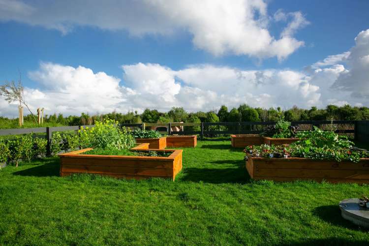 11 Mike Smith Drive Cambridge_18