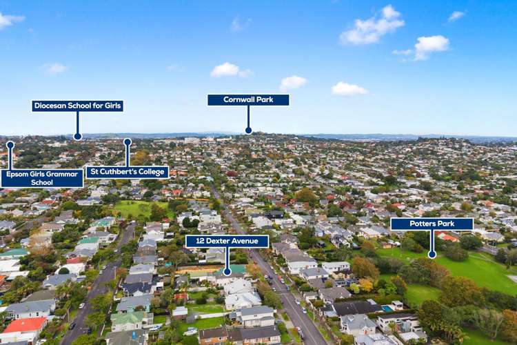 12 Dexter Avenue Mt Eden_36