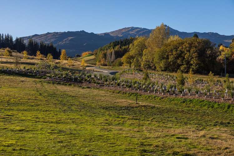 20 Station Rise Dalefield/Wakatipu Basin_8