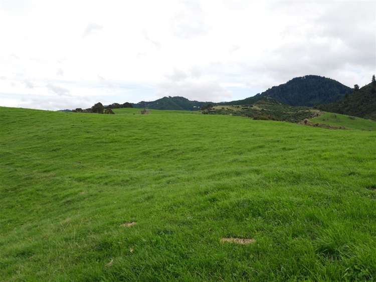 414 Sherry River Road Tapawera_23