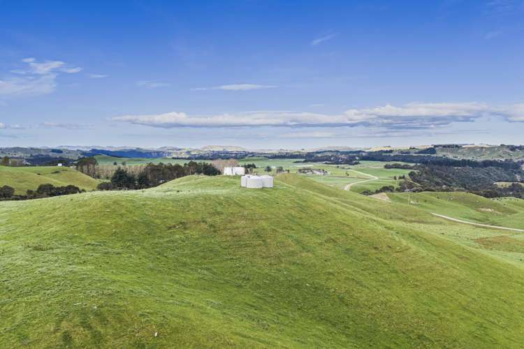 500 Willowford Road Waiwhare_18