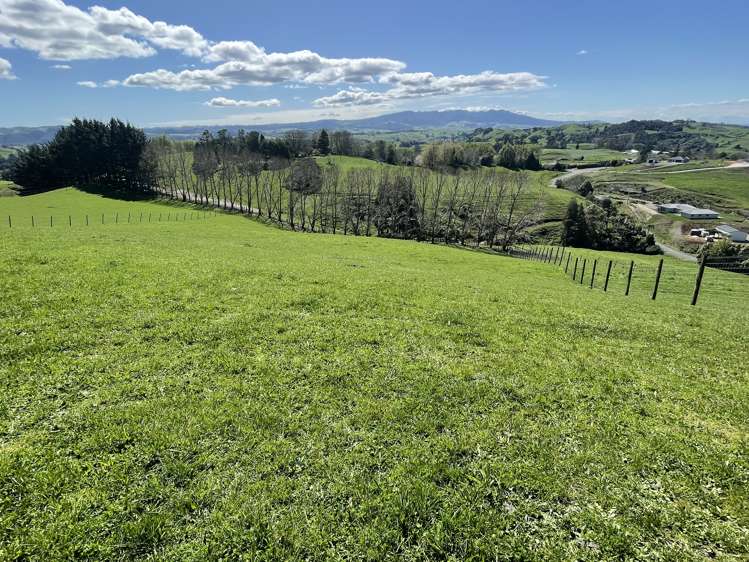 481 Honikiwi Road RD3 Otorohanga_19