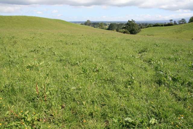 346 Lincoln Road Inglewood_4