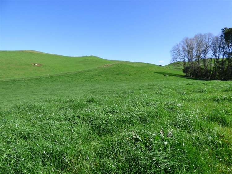 546 Ngutunui Road Otorohanga_9