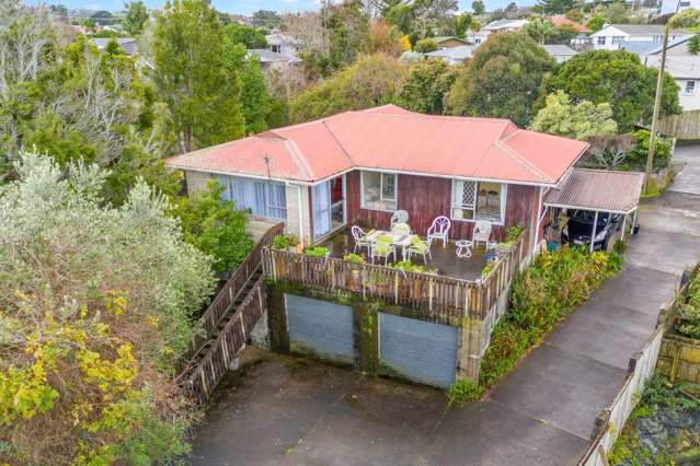 Renovator’s Dream