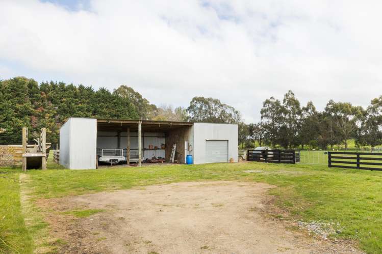 38B Grove Road Hiwinui_30