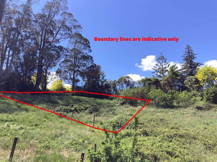 7 Windsor Road Waipawa_3