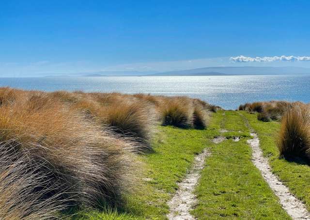 549 Omaui Road Omaui_2