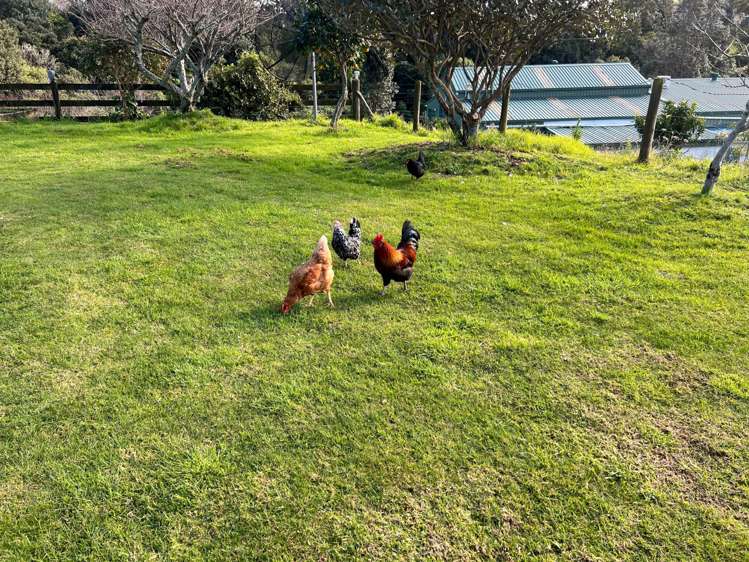 37 Coronation Road Waiuku_17