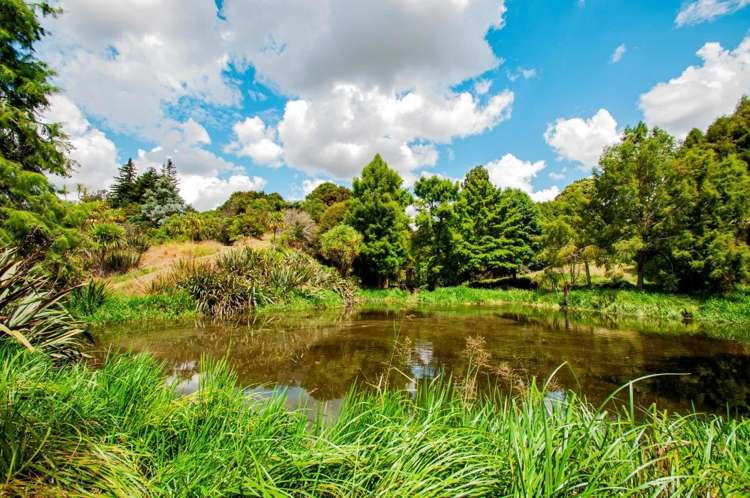 11 Sanctuary Lane Tamahere_46