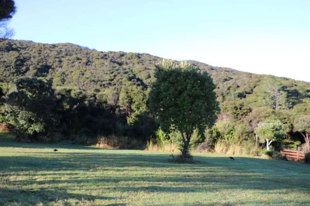 6 Harpoon Hill Great Barrier Island (Aotea Island)_2