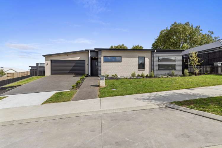 39 Rawiri Street Morrinsville_16