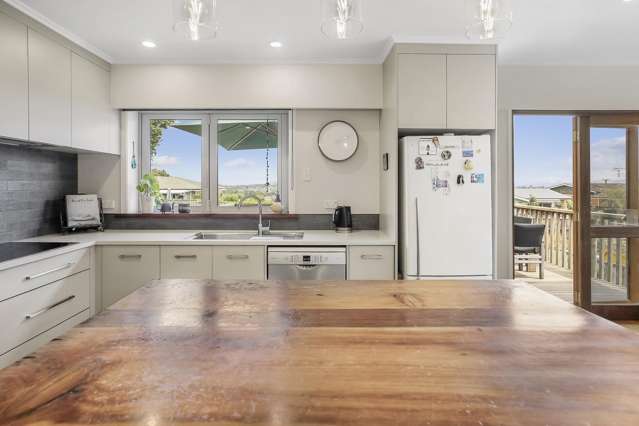 117 McNair Road Te Awamutu_2