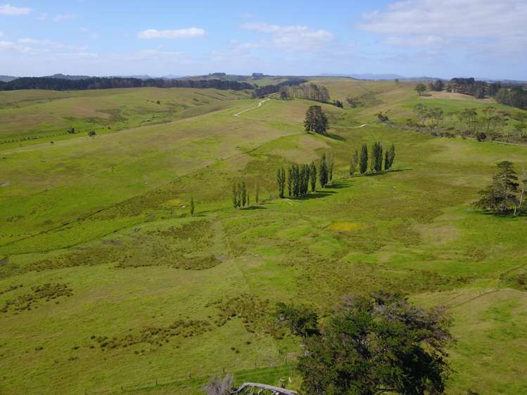 State Highway 10 Kaingaroa_19