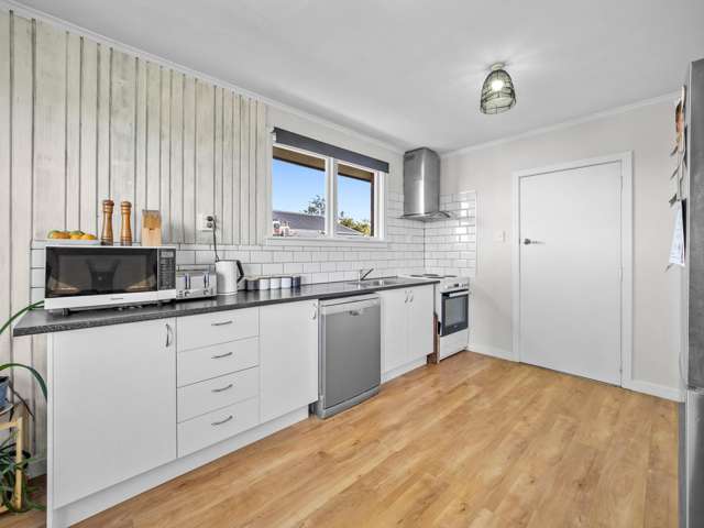 58 Grove Street Tinwald_1