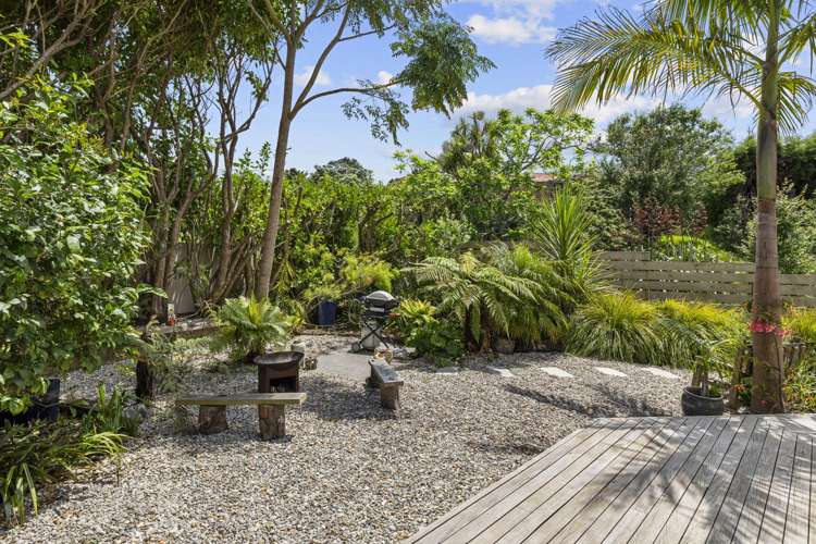 4A Violet Street Raglan_11