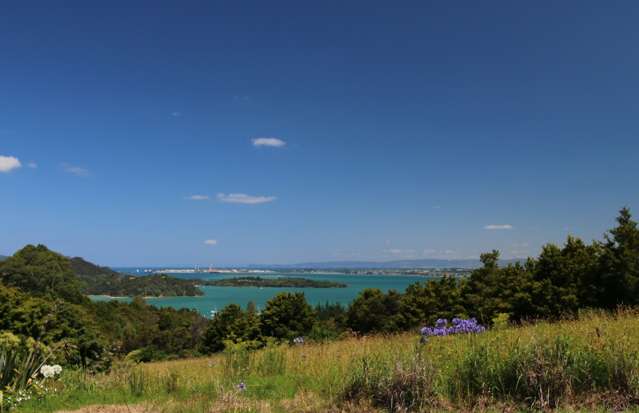 100 Te Rongo Road Parua Bay_3