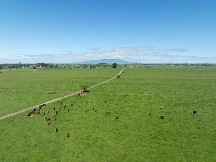 254 Muir Road Te Awamutu_20