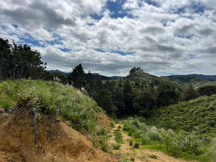 Lot 23 Waiotehue Road Herekino_15