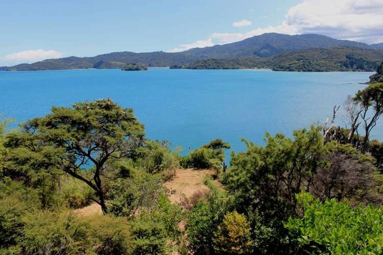 604 Wyuna Bay Road Coromandel_9