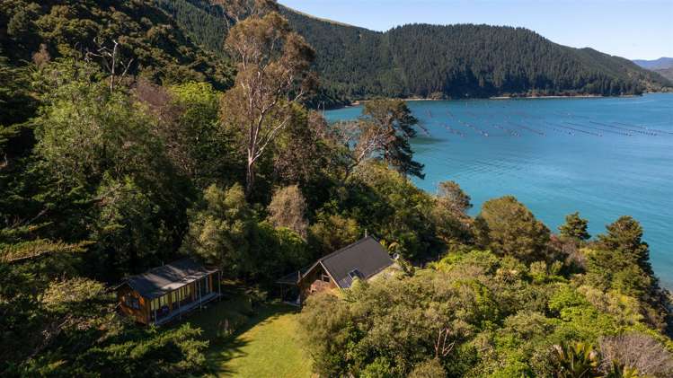 Little Nikau Bay Kenepuru Sound_33