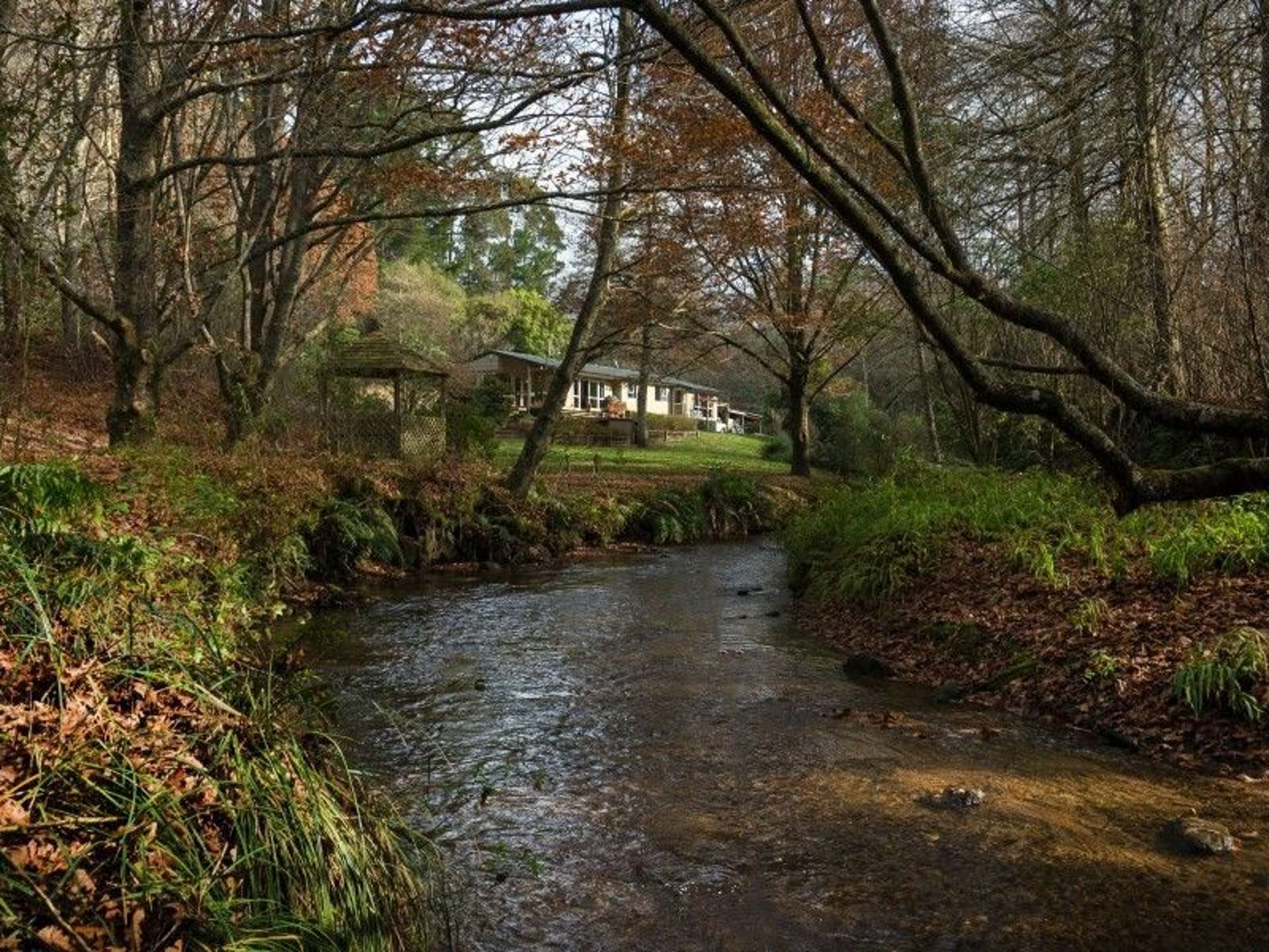 763 Paradise Valley Road Ngongotaha Valley_0