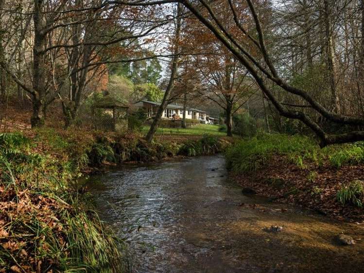 763 Paradise Valley Road Ngongotaha Valley_0