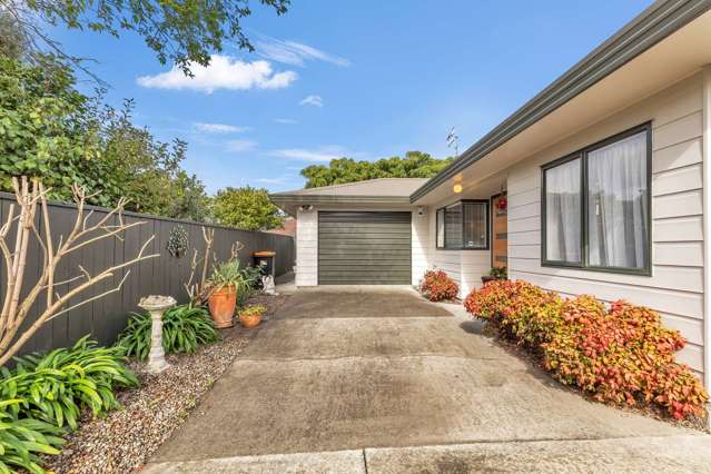 36b Aberdeen Avenue Takaro_1