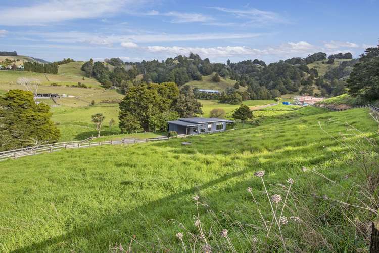 262A Whau Valley Road_0