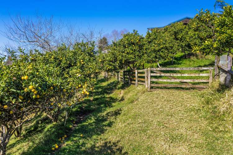 148 Stanley Road Whakatane_39