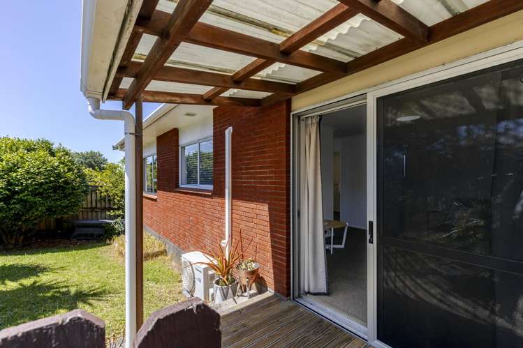 1/24 Hori Street Vogeltown_12