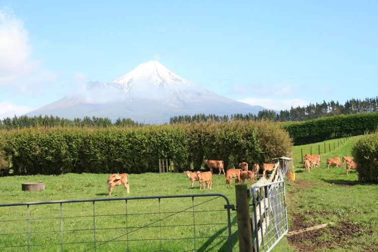 2105 Hastings Road Mahoe_12